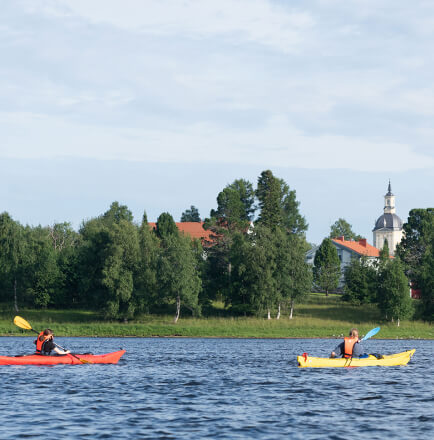Erikoispalkinto
